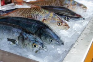 Pescado congelado vs fresco