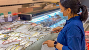 Chef examinando la calidad del producto de sus proveedores de pescado.