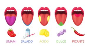 Varios alimentos que explican qué es el sabor umami, como salmón y camarones.