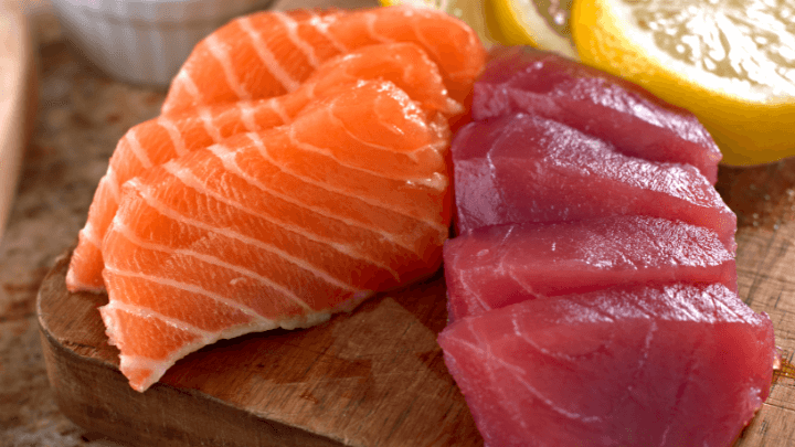 Potencia tu entrenamiento: el salmón y el atún, tus aliados proteicos definitivos