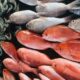 Combate la fatiga crónica con una dieta rica en pescado y mariscos
