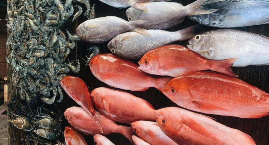Combate la fatiga crónica con una dieta rica en pescado y mariscos