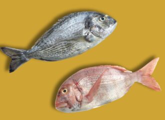¿Pescado Azul o Blanco? Guía Completa para Entender sus Diferencias y Beneficios