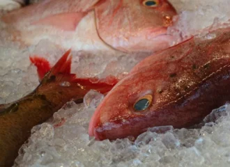 Pescados enteros frescos sobre hielo con ojos claros y brillantes, señal de pescado de calidad
